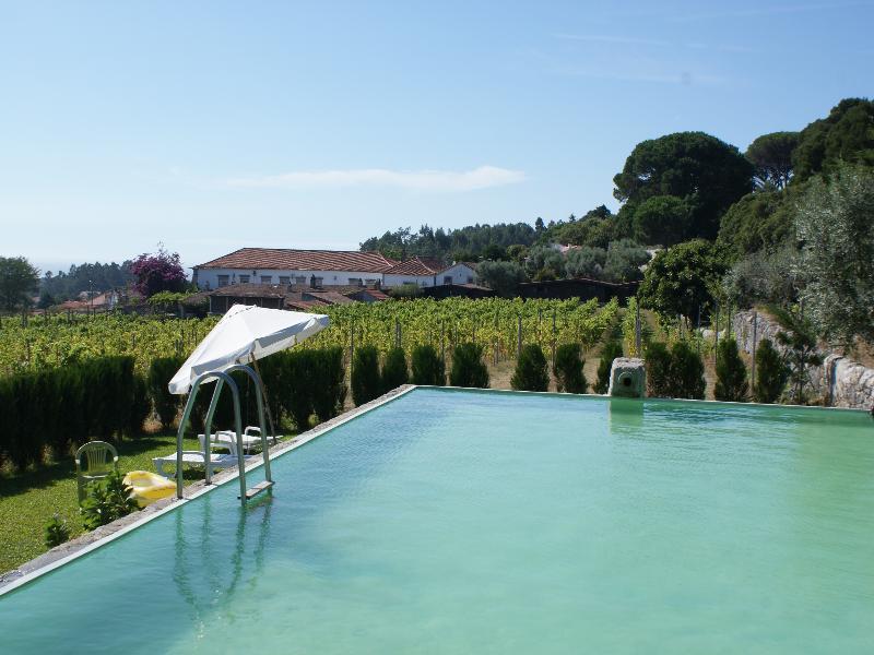 Гостевой дом Quinta Do Paco D'Anha Виана-ду-Каштелу Экстерьер фото