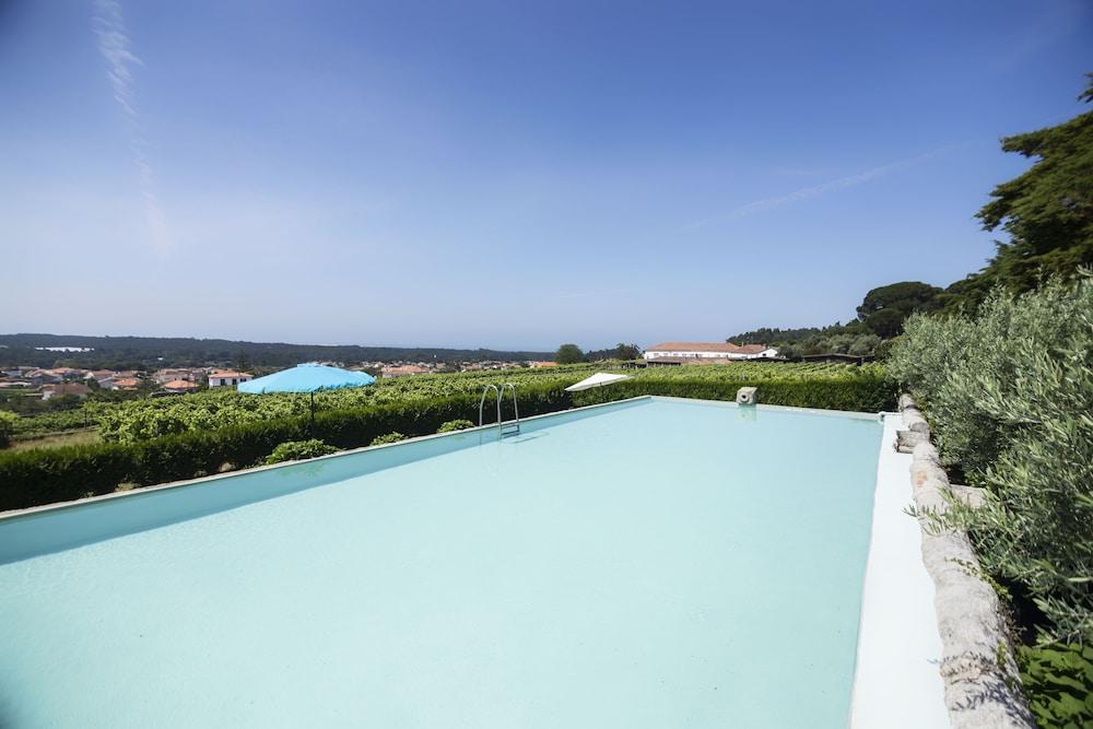 Гостевой дом Quinta Do Paco D'Anha Виана-ду-Каштелу Экстерьер фото