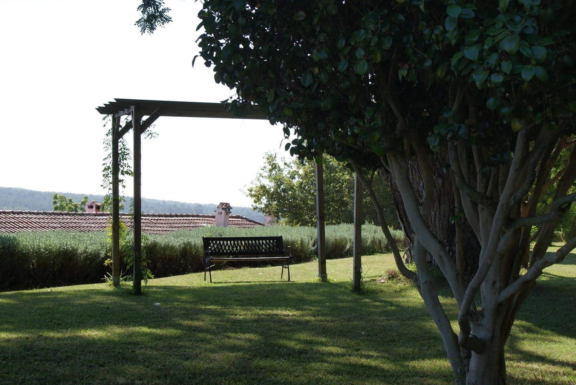 Гостевой дом Quinta Do Paco D'Anha Виана-ду-Каштелу Экстерьер фото